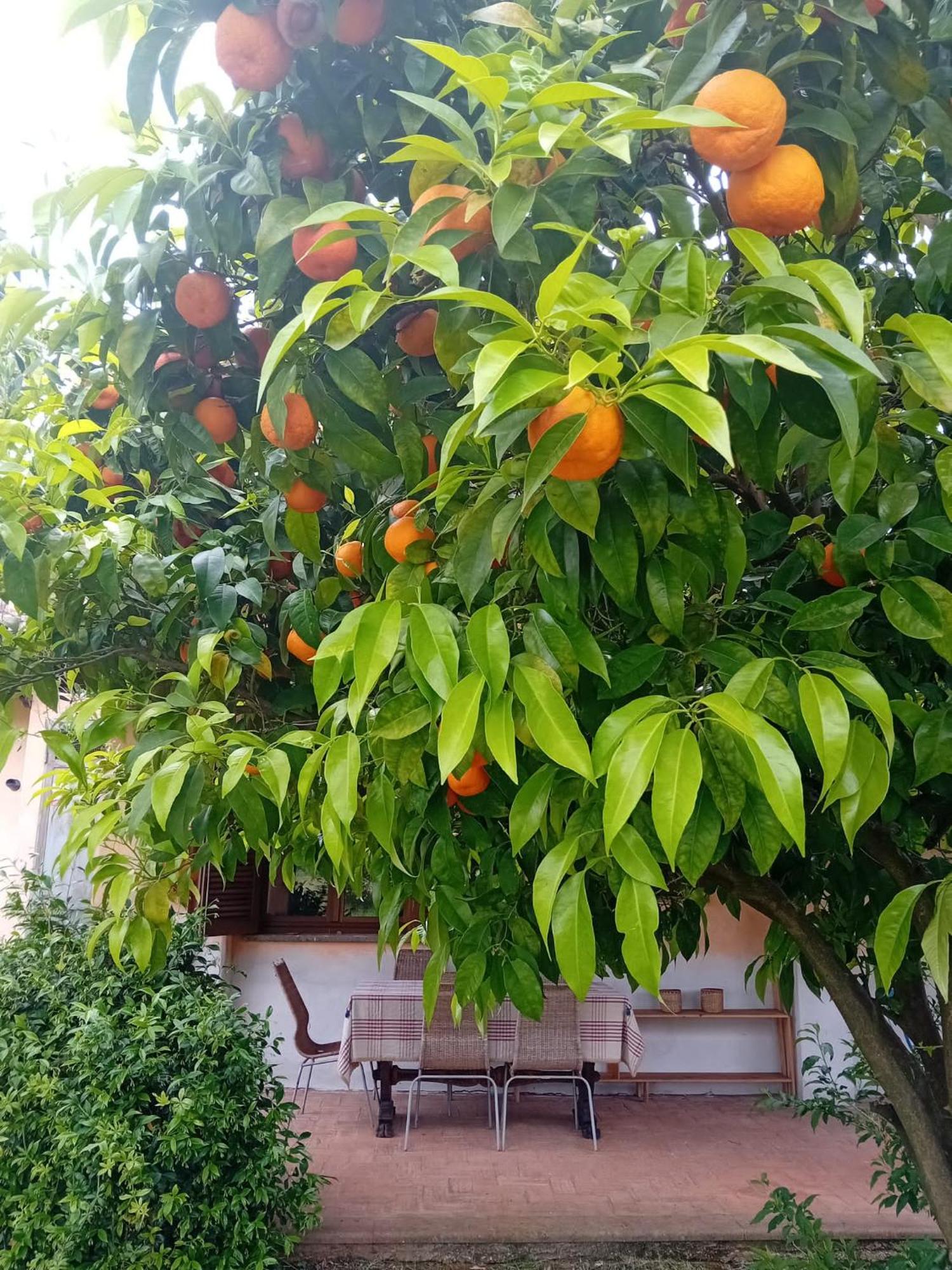 בית הארחה ולטרי 	Casa Pratolungo מראה חיצוני תמונה